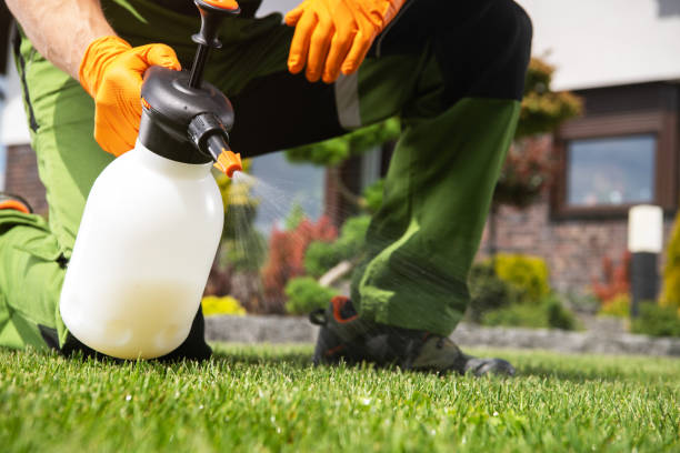 Best Commercial Pest Control Services  in Fairland, MD