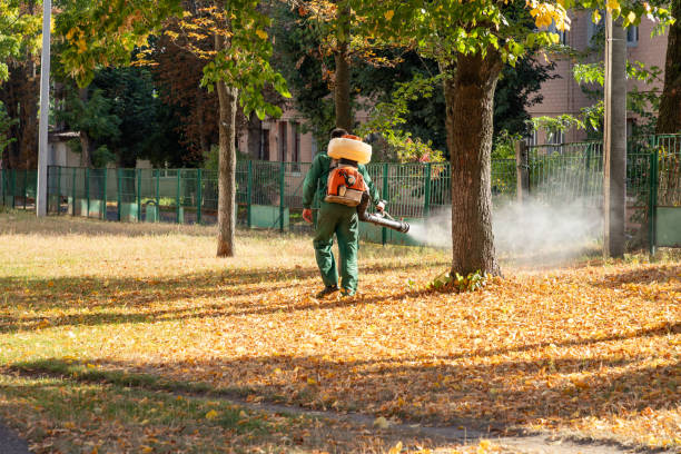 Best Wasp Removal Services  in Fairland, MD